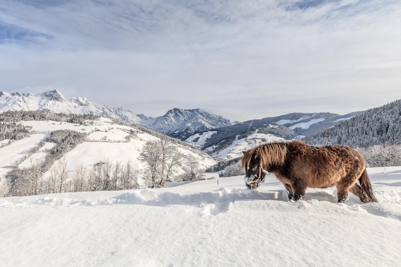 Willa Christernhof Maria Alm am Steinernen Meer Zewnętrze zdjęcie